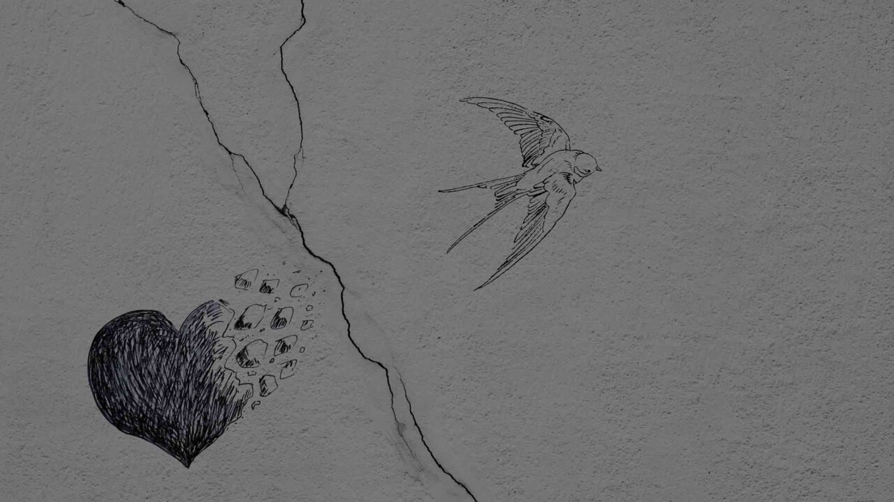 Confesiones de un idiota