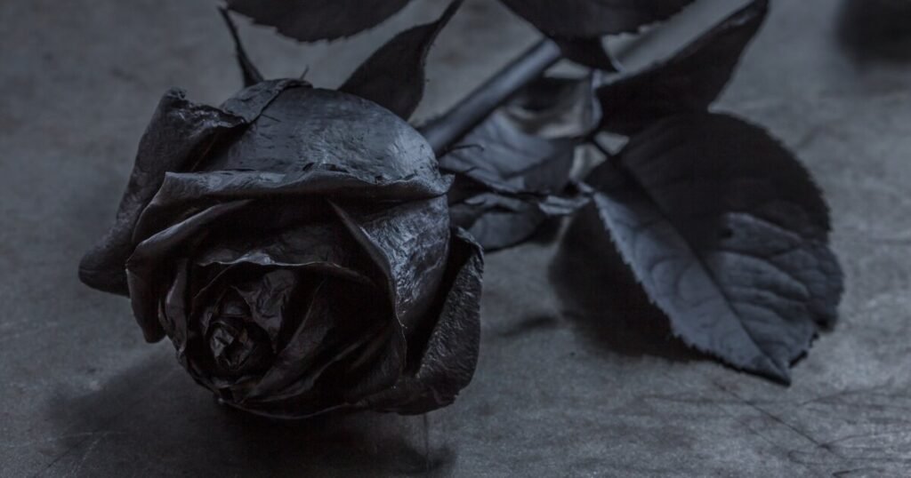 A él, quien juntó mis pedazos sin saberlo