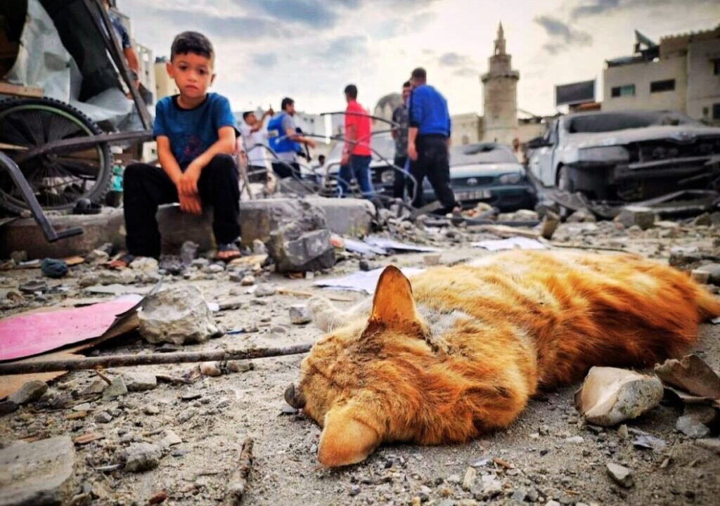 El conflicto Israel-Palestina desde 1988: Un balance de víctimas ante la indiferencia del mundo