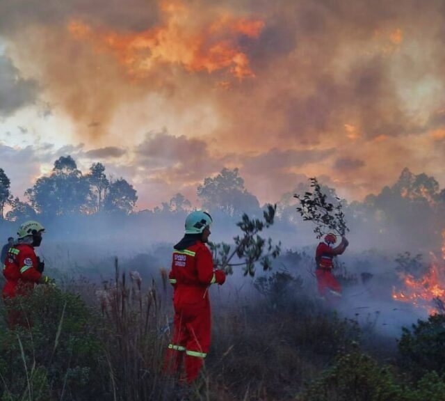 Incendios forestales en 22 regiones del Perú provocan tragedia ambiental
